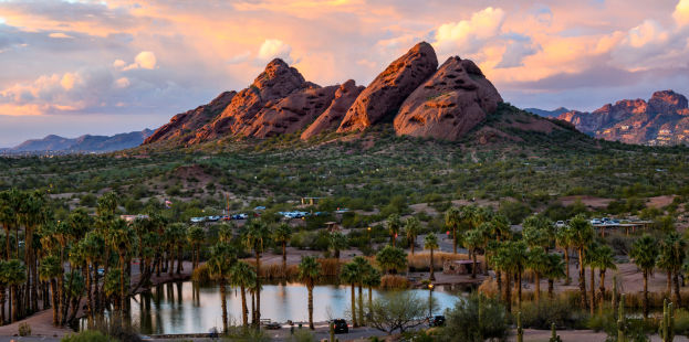 Phoenix